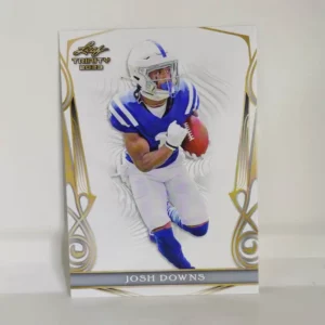 Leaf Trinity Football 2023 | #81 Josh Downs - Indianapolis Colts