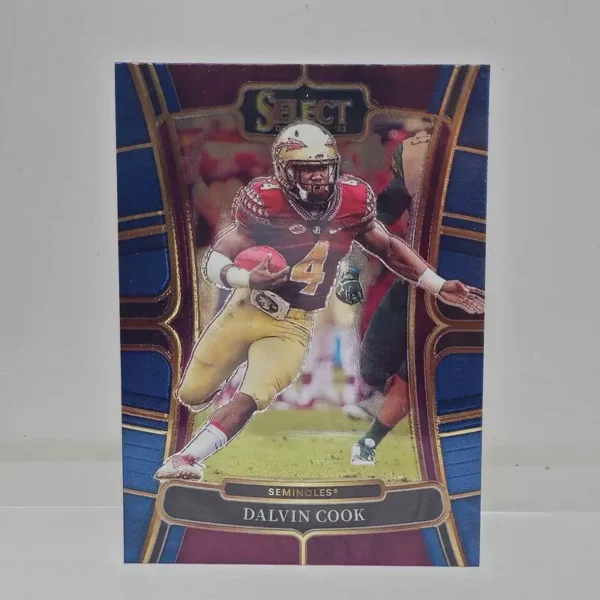 Panini Select Football Draft Picks 2023 | #48 Dalvin Cook - Florida State Seminoles