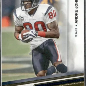 Panini Absolute Memorabilia 2010 | #38 Andre Johnson - Houston Texans